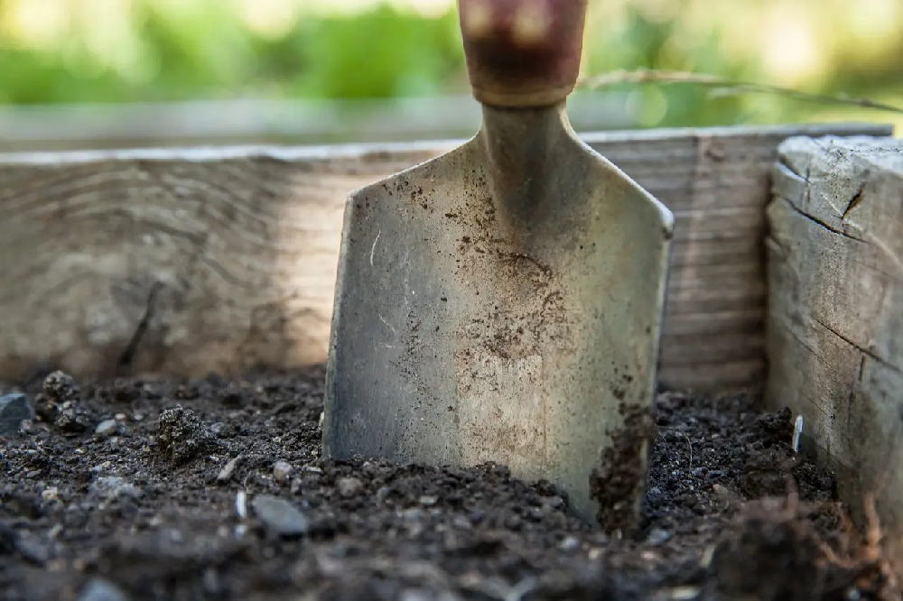 Przegląd niezbędnych narzędzi początkującego ogrodnika